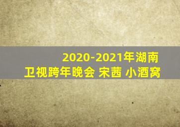 2020-2021年湖南卫视跨年晚会 宋茜 小酒窝